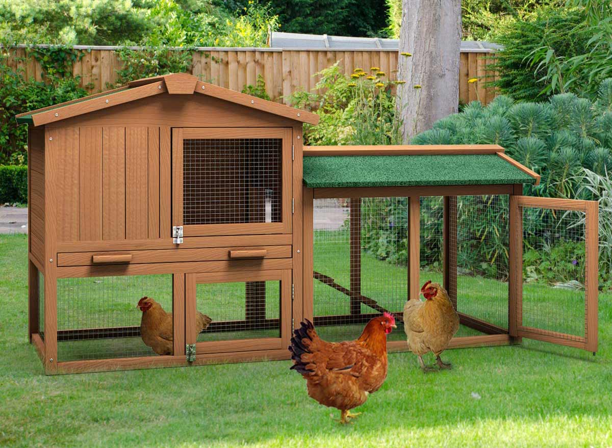 Simple Chicken Coop Plans 14 Simple Designs You Can Build Yourself